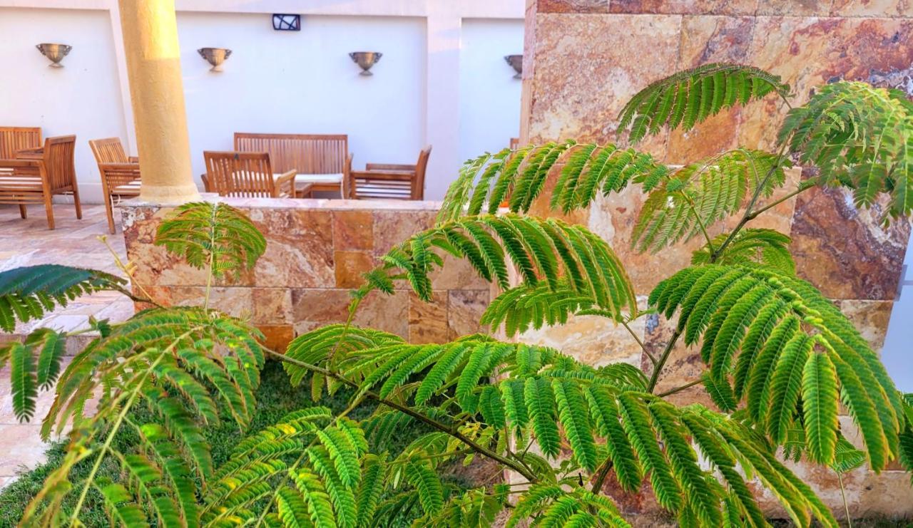 Helios Hotel Сулина Екстериор снимка
